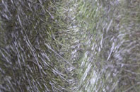 Tre Pit fibreglass roof work